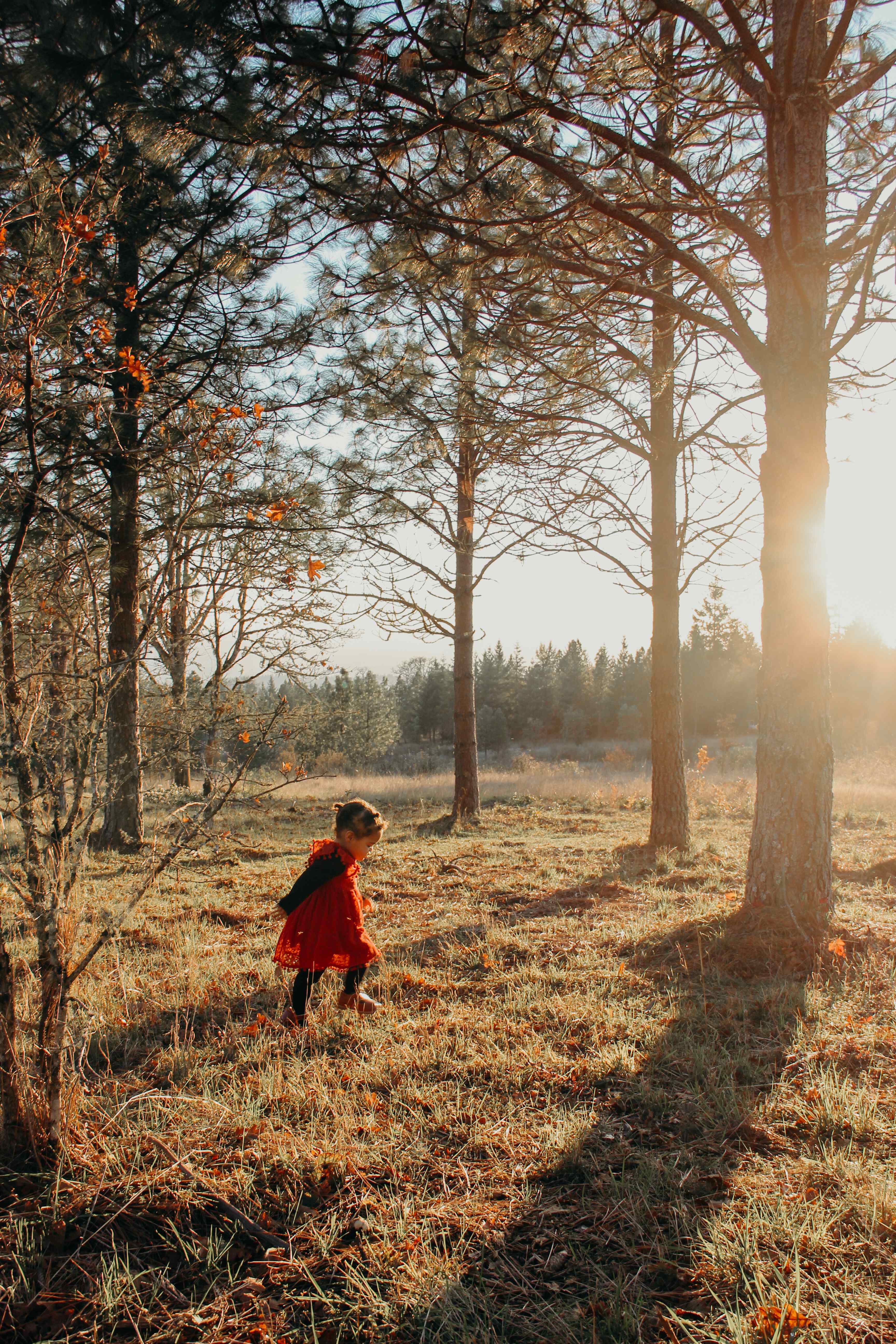 Child playing in forest at golden hour